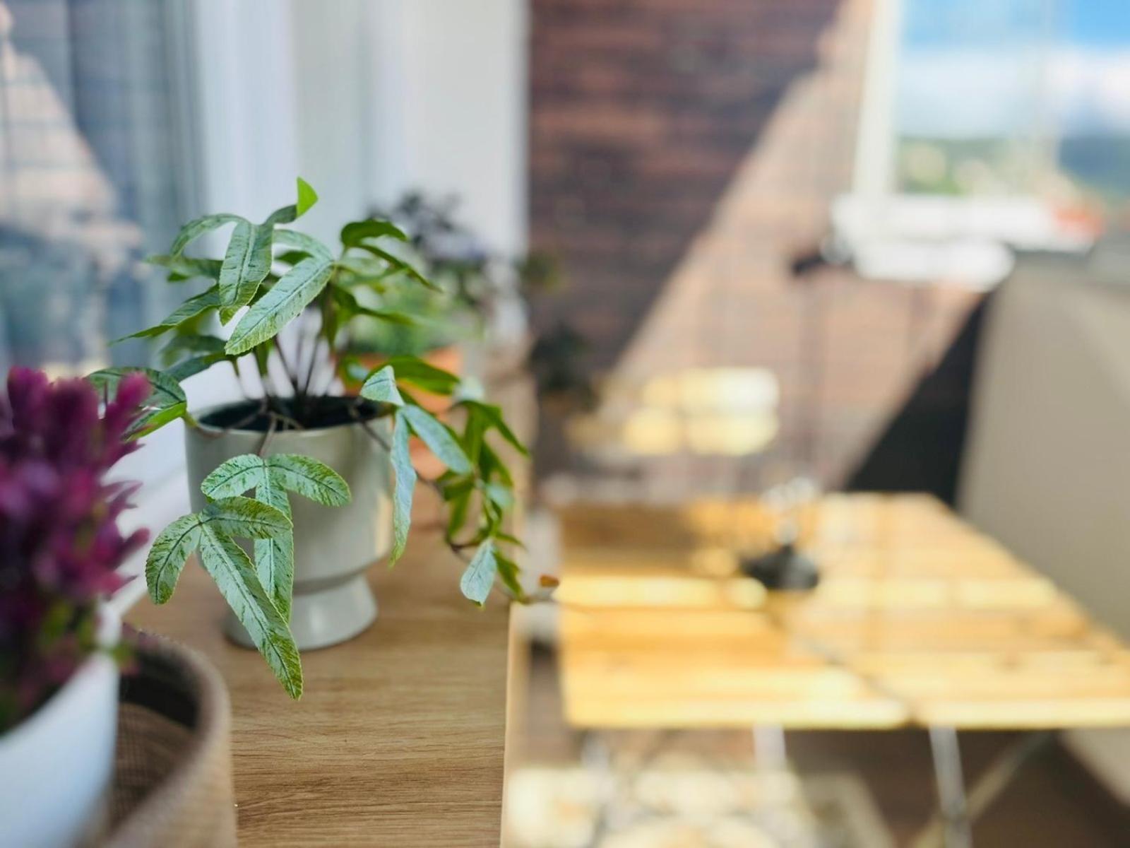 Mak Apartment - Free Parking - Balcony ซาราเยโว ภายนอก รูปภาพ